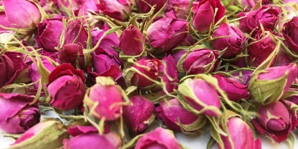 تصویر 4 از خرید و قیمت غنچه ی گل محمدی خشک + فروش عمده