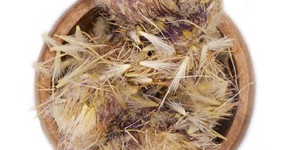 تصویر 5 از قیمت خرید گیاه خشک شده خار مریم + فروش ویژه