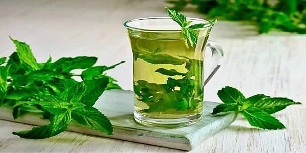 تصویر 4 از قیمت خرید عرق نعنا شیراز + فروش ویژه