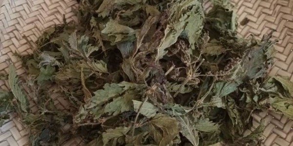 تصویر 3 از قیمت گیاه گزنه خشک شده با کیفیت ارزان + خرید عمده
