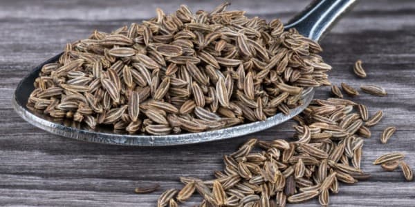 تصویر 2 از قیمت خرید زیره سیاه ریز + فروش ویژه