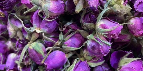 تصویر 2 از خرید و فروش غنچه گل محمدی خشک با شرایط فوق العاده