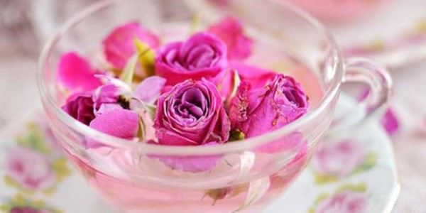 تصویر 5 از قیمت خرید غنچه گل محمدی داراب با فروش عمده