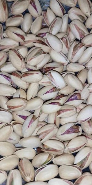 تصویر 3 از خرید و قیمت پسته بادامی شور + فروش صادراتی