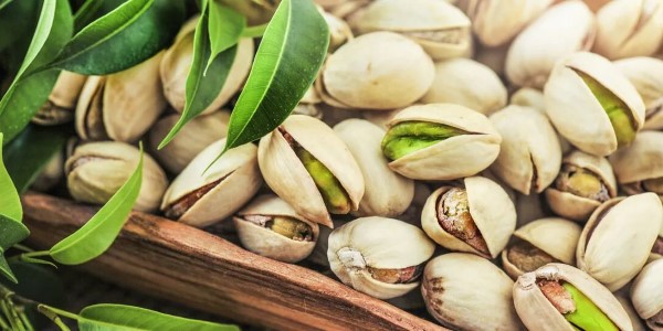 تصویر 4 از خرید پسته فندقی درجه یک + قیمت فروش استثنایی