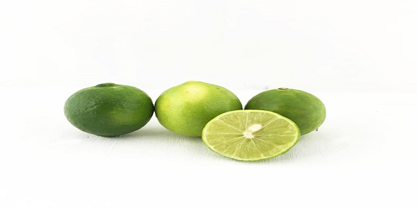تصویر 5 از قیمت خرید لیمو ترش کوچک با فروش عمده