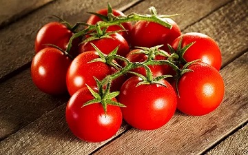 تصویر 2 از قیمت خرید گوجه فرنگی گلخانه ای صادراتی + فروش ویژه