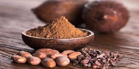 تصویر 2 از خرید پودر هسته خرما + قیمت فروش استثنایی