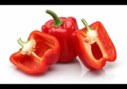 تصویر 3 از قیمت خرید فلفل دلمه ای قرمز + فروش ویژه