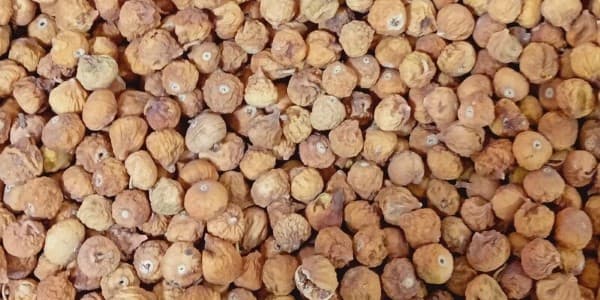 تصویر 4 از خرید و فروش انجیر خشک ارگانیک با شرایط فوق العاده