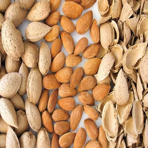 قیمت بادام سنگی مامایی + خرید
