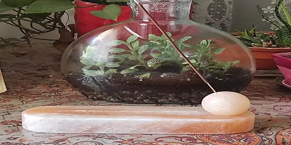 تصویر 3 از خرید و قیمت جاعودی سنگ نمک + فروش عمده
