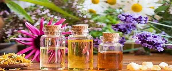 تصویر 2 از خرید و قیمت عرق کاسنی درجه یک + فروش صادراتی