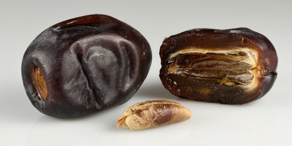 تصویر 3 از خرید خرما مضافتی فله + قیمت فروش استثنایی