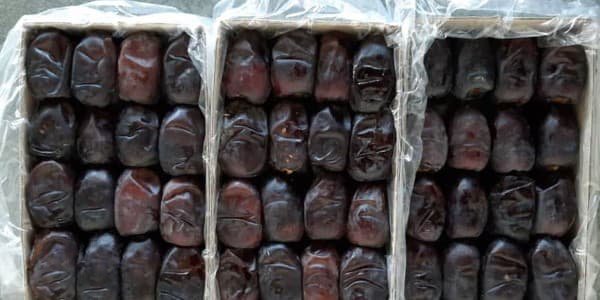 تصویر 1 از خرید خرما مضافتی فله + قیمت فروش استثنایی