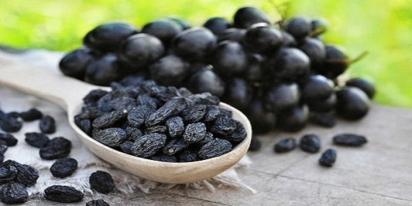 تصویر 5 از خرید و قیمت کشمش انگور سیاه سردشت + فروش صادراتی
