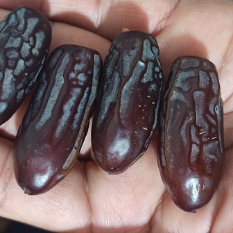 تصویر 1 از خرید و فروش خرما ربی آراتیس با شرایط فوق العاده