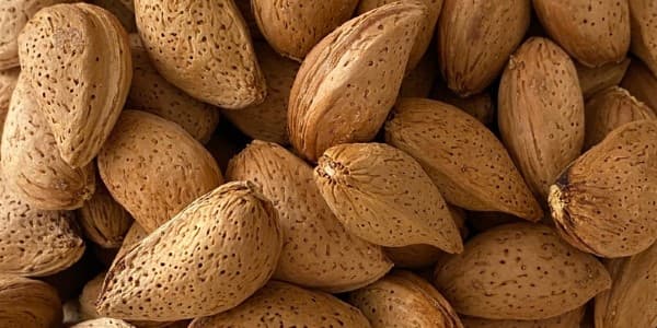 تصویر 5 از خرید و فروش بادام درختی با پوست با شرایط فوق العاده