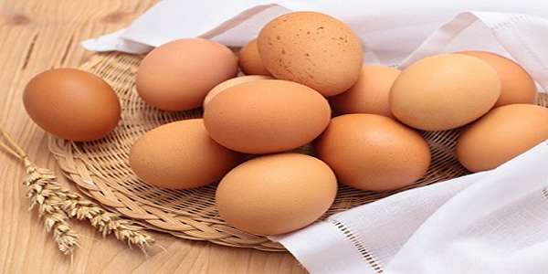 تصویر 4 از قیمت تخم مرغ محلی + خرید باور نکردنی