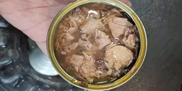 تصویر 5 از خرید و فروش تن ماهی زرده خزربانو با شرایط فوق العاده
