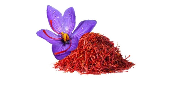 تصویر 1 از خرید زعفران اصل قائنات مشهد + قیمت فروش استثنایی