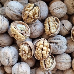 تصویر 1 از خرید و فروش گردو پوست کاغذی با شرایط فوق العاده