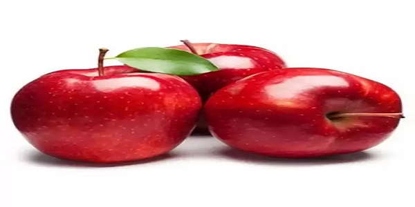 تصویر 4 از قیمت سیب قرمز اشنویه با کیفیت ارزان + خرید عمده