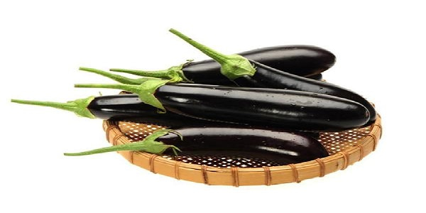 تصویر 3 از خرید و فروش بادمجان قلمی کوچک با شرایط فوق العاده