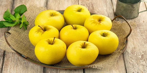 تصویر 1 از قیمت خرید سیب گلاب زرد با فروش عمده