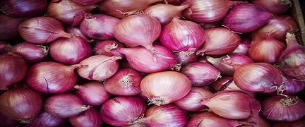 تصویر 4 از خرید و قیمت پیاز قرمز صادراتی  + فروش عمده