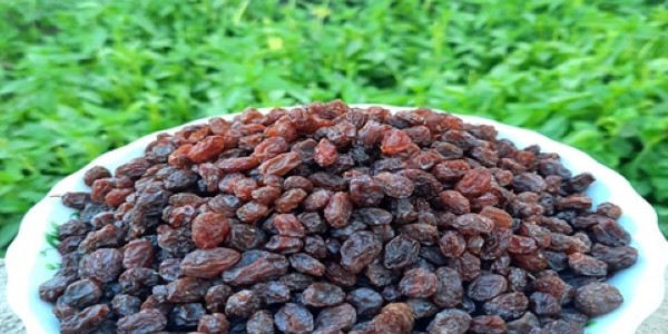 تصویر 4 از قیمت خرید کشمش پلویی آفتاب خشک عمده به صرفه و ارزان