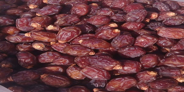 تصویر 5 از قیمت خرید خرمای کروت بم + فروش ویژه