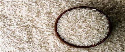 تصویر 1 از خرید و قیمت  برنج عنبر بو امید  + فروش عمده