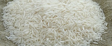 تصویر 3 از خرید و قیمت برنج عنبر بو نیم دانه رشت  + فروش عمده