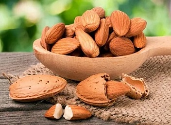 تصویر 1 از قیمت خرید بادام درختی صادراتی + فروش ویژه