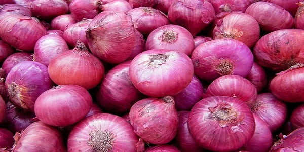 تصویر 1 از خرید و قیمت پیاز قرمز ریز + فروش صادراتی