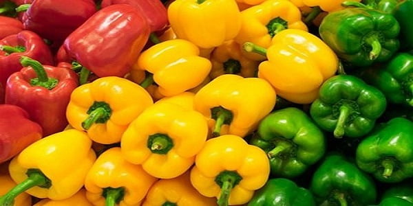 تصویر 5 از قیمت خرید فلفل رنگی صادراتی + فروش ویژه