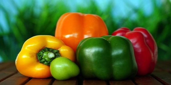 تصویر 1 از قیمت خرید فلفل رنگی صادراتی + فروش ویژه