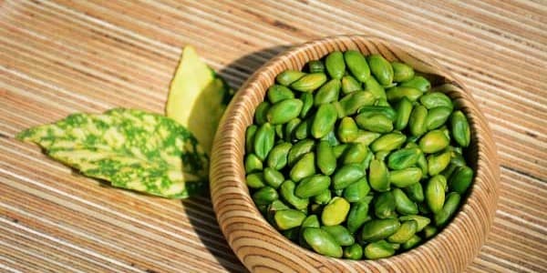 تصویر 5 از قیمت خرید مغز پسته سبز با فروش عمده