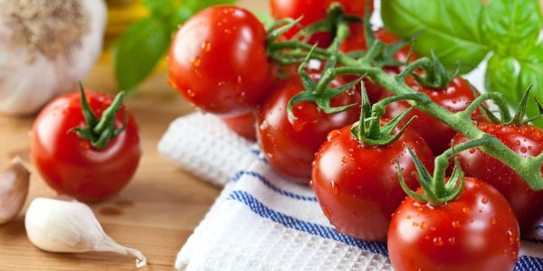 تصویر 2 از فروش گوجه فرنگی ریز گیلاسی + قیمت خرید به صرفه