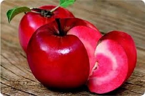 تصویر 5 از قیمت خرید سیب قرمز فرانسه + فروش ویژه