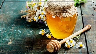 تصویر 5 از قیمت خرید عسل گون گز با فروش عمده