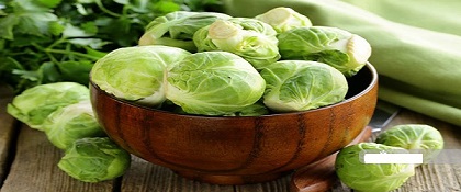 تصویر 1 از خرید و قیمت کلم صادراتی سفید + فروش عمده