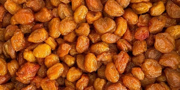 تصویر 2 از فروش آلو بخارا شوقان + قیمت خرید به صرفه