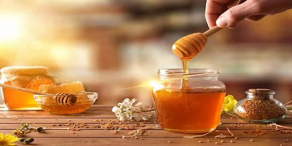 تصویر 4 از قیمت خرید عسل طبیعی بهاره سبلان + فروش ویژه