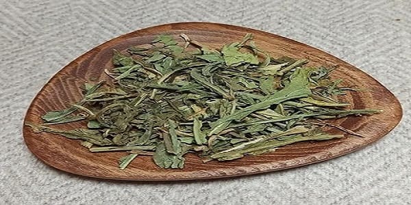تصویر 2 از خرید و فروش گیاه شاتره خشک شده با شرایط فوق العاده