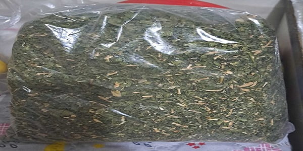 تصویر 1 از خرید و فروش گیاه شاتره خشک شده با شرایط فوق العاده