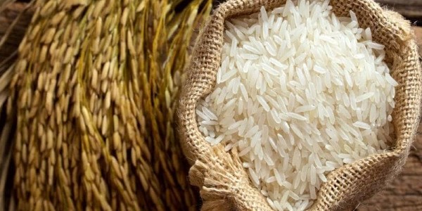 تصویر 1 از قیمت برنج طلای سفید شیراز + خرید باور نکردنی