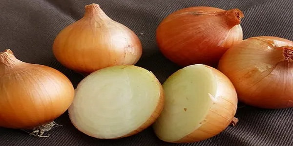 تصویر 2 از خرید و قیمت پیاز زرد درشت + فروش عمده