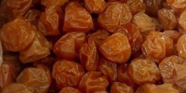 تصویر 5 از خرید و فروش الو زرد خشک شده با شرایط فوق العاده